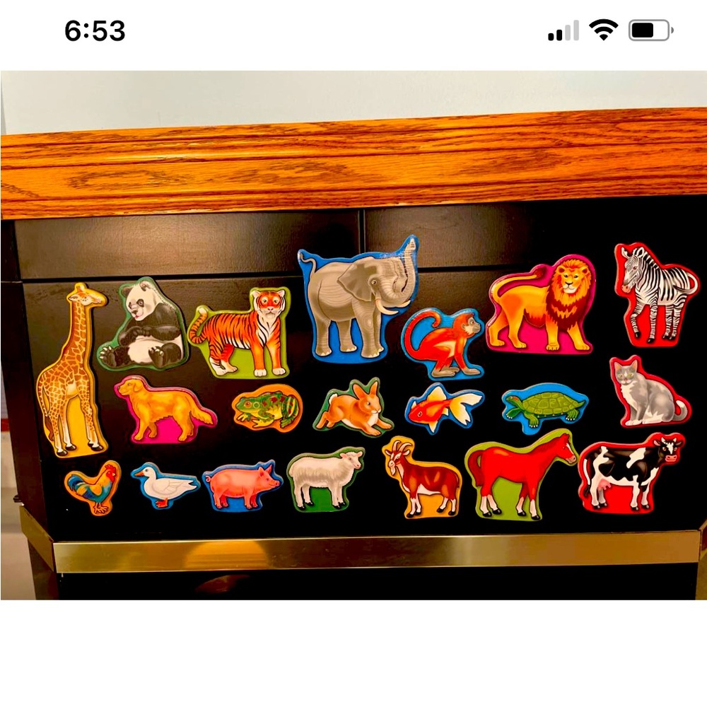 Melissa & Doug (Wooden) Animal Magnet Variety